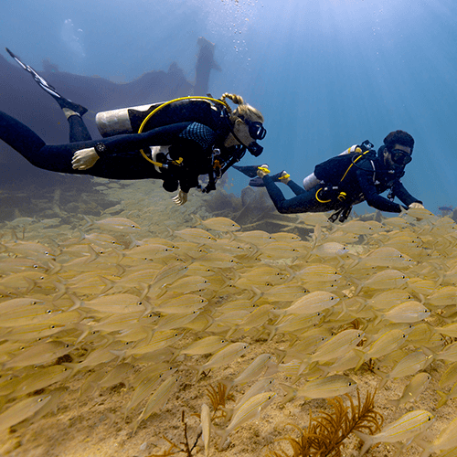 Fonction plongée de la montre de plongée connectée GPS Descent G2 Garmin Corail