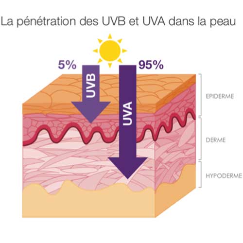 Schéma pénétration UV dans la peau